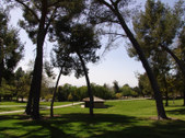 Enlarge photo 88