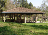 Enlarge photo 92