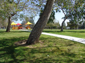 Enlarge photo 93