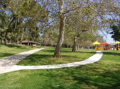 Enlarge photo 97