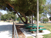 Enlarge photo 33
