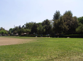 Enlarge photo 35