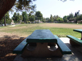 Enlarge photo 37