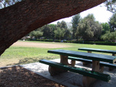 Enlarge photo 39