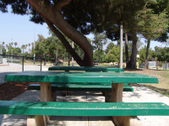 Enlarge photo 40