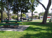 Enlarge photo 45