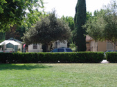 Enlarge photo 47