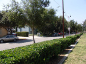 Enlarge photo 49