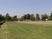 Enlarge photo 50