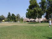 Enlarge photo 51