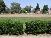 Enlarge photo 55