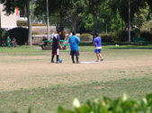 Enlarge photo 56
