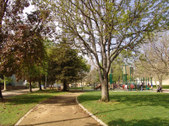 Enlarge photo 33