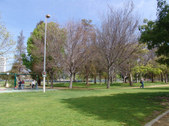 Enlarge photo 35
