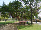 Enlarge photo 36