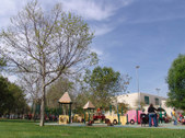 Enlarge photo 41