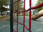 Enlarge photo 55