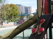 Enlarge photo 57