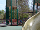 Enlarge photo 59