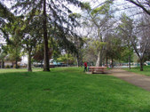Enlarge photo 61