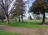 Enlarge photo 62