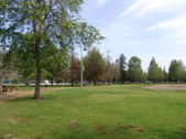 Enlarge photo 64