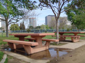 Enlarge photo 65