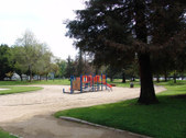 Enlarge photo 71