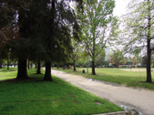 Enlarge photo 72