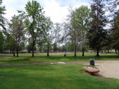 Enlarge photo 81