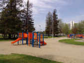 Enlarge photo 82