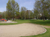 Enlarge photo 83
