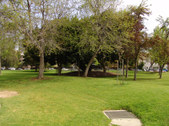 Enlarge photo 84