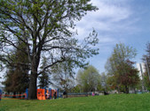 Enlarge photo 85