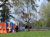 Enlarge photo 86