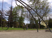 Enlarge photo 95