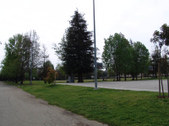 Enlarge photo 99