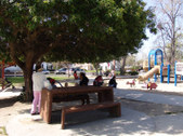 Enlarge photo 30
