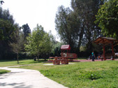 Enlarge photo 35