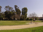 Enlarge photo 41