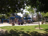 Enlarge photo 43