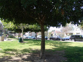 Enlarge photo 44