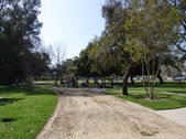 Enlarge photo 46