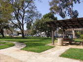 Enlarge photo 47