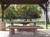 Enlarge photo 50