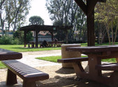 Enlarge photo 51