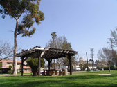 Enlarge photo 52