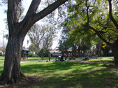 Enlarge photo 54