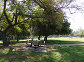 Enlarge photo 55