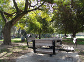 Enlarge photo 57